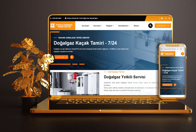Ankara Doğalgaz Yetkili Servisi