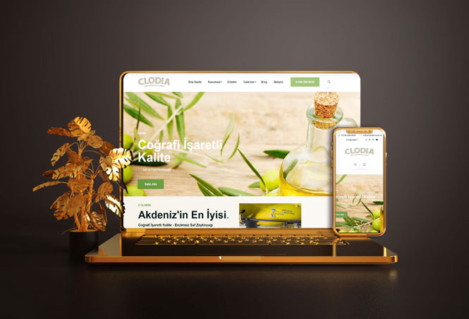 Clodia Zeytin Yağı